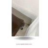 BIFE EN MADERA - Image 4